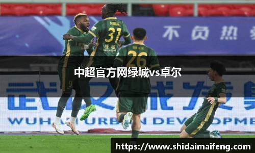 中超官方网绿城vs卓尔