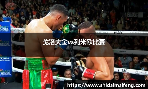 戈洛夫金vs列米欧比赛
