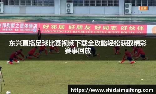 东兴直播足球比赛视频下载全攻略轻松获取精彩赛事回放