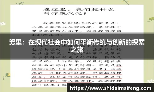 努里：在现代社会中如何平衡传统与创新的探索之旅